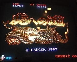 301-tora.jpg