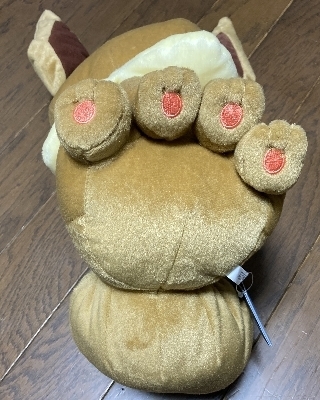g1251-3.jpg
