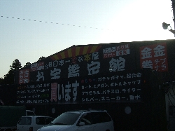 s176-2.jpg
