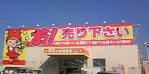 s214.jpg