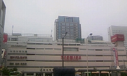 s233.jpg