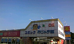 s262.jpg
