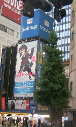 s290.jpg