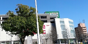 s354-2.jpg
